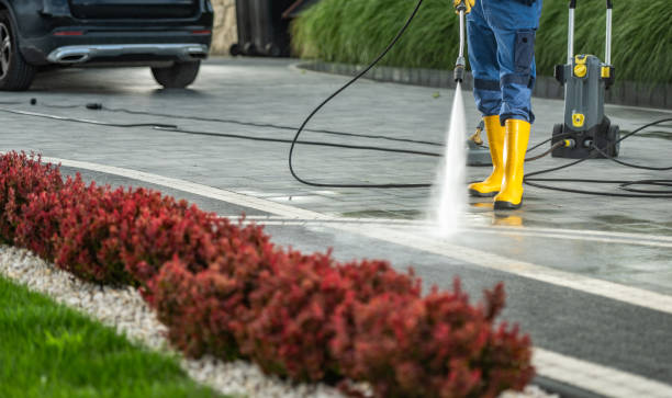 Animal Enclosure Cleaning in Governors Clu, NC